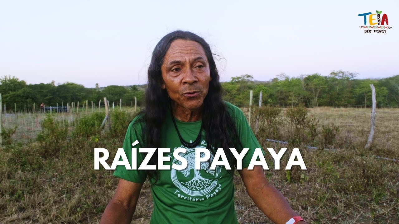 Raízes Payaya - Otto Payaya