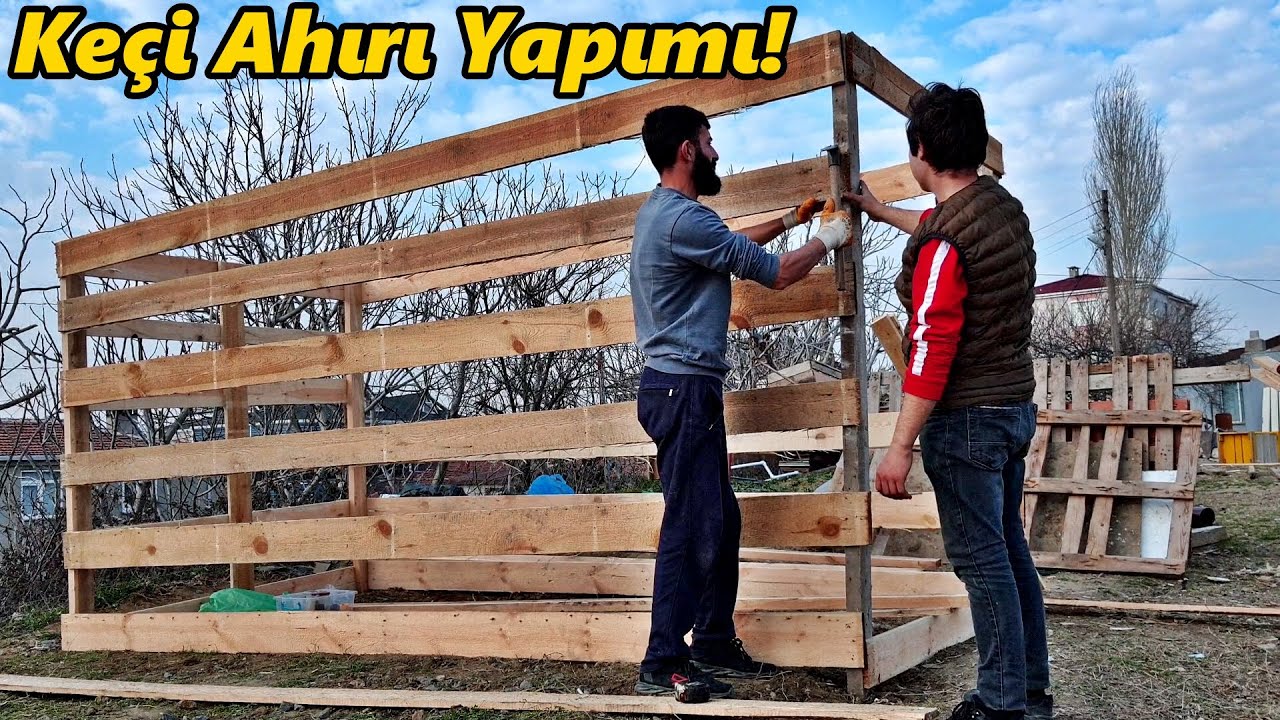 Keçiler İçin Ahır Yaptık!/Çok Güzel Oldu!#Keçi#Tavuk#hindi#civciv#ördek#horoz