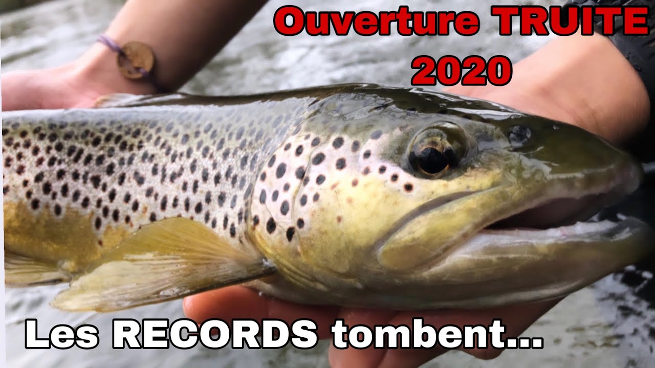Ouverture TRUITE 2020 (grosses truites aux LEURRES)