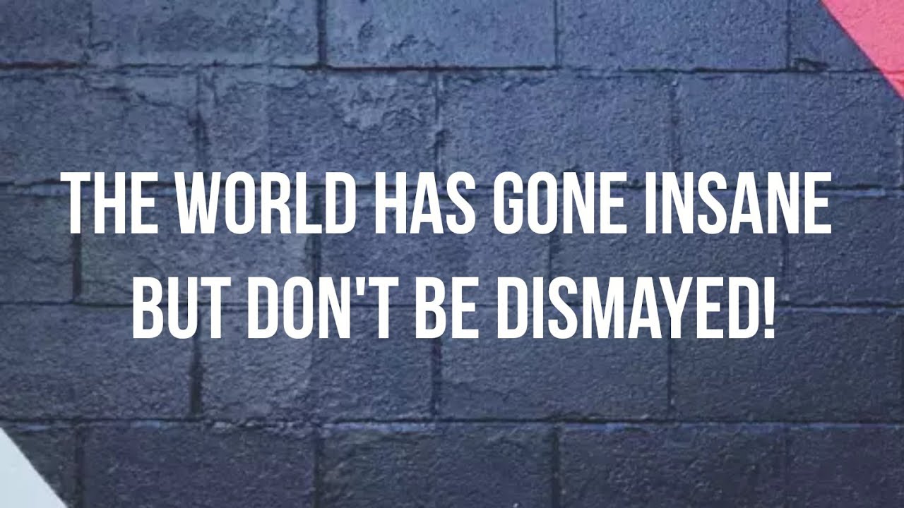 The World has gone insane...but don't worry!