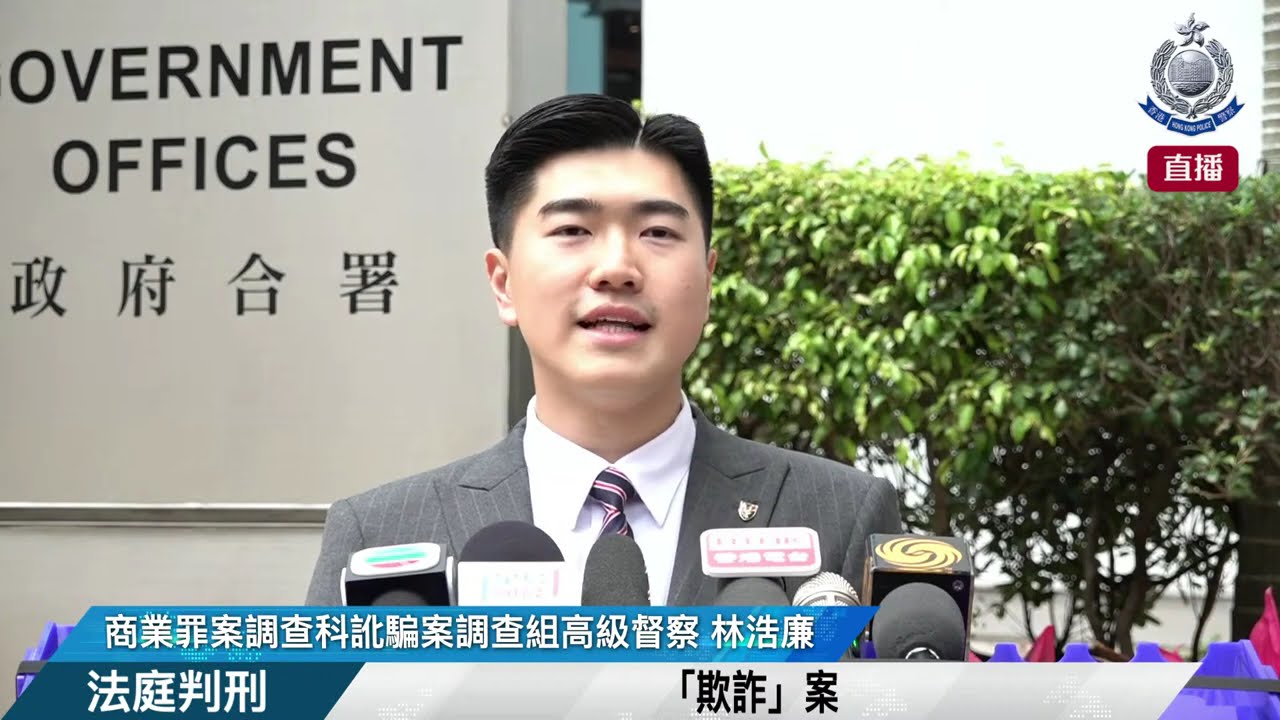 【 「欺詐」案 • 法庭判刑 】