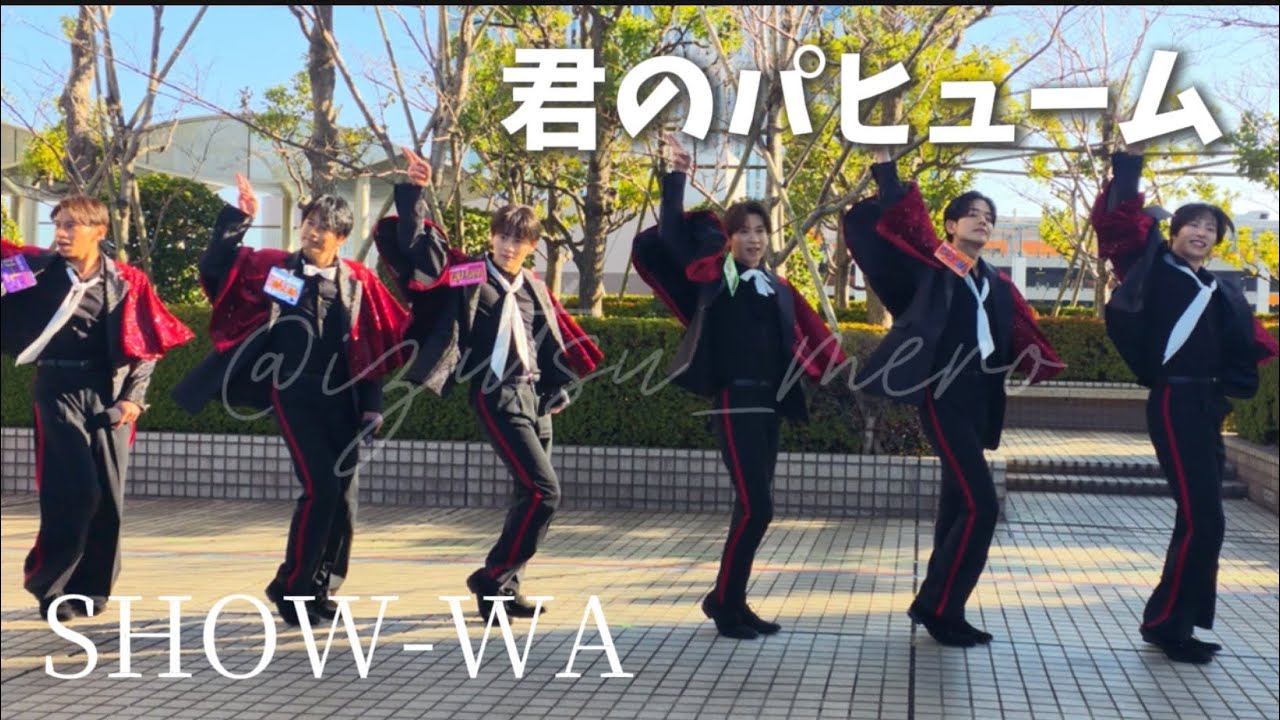 SHOW-WA『君のパヒューム』ぽかぽか📍フジテレビ7階ぽかぽかパーク
