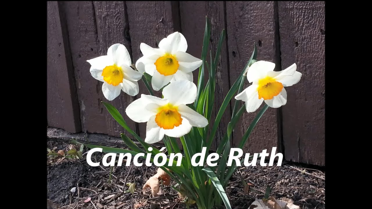 Cancion de Ruth