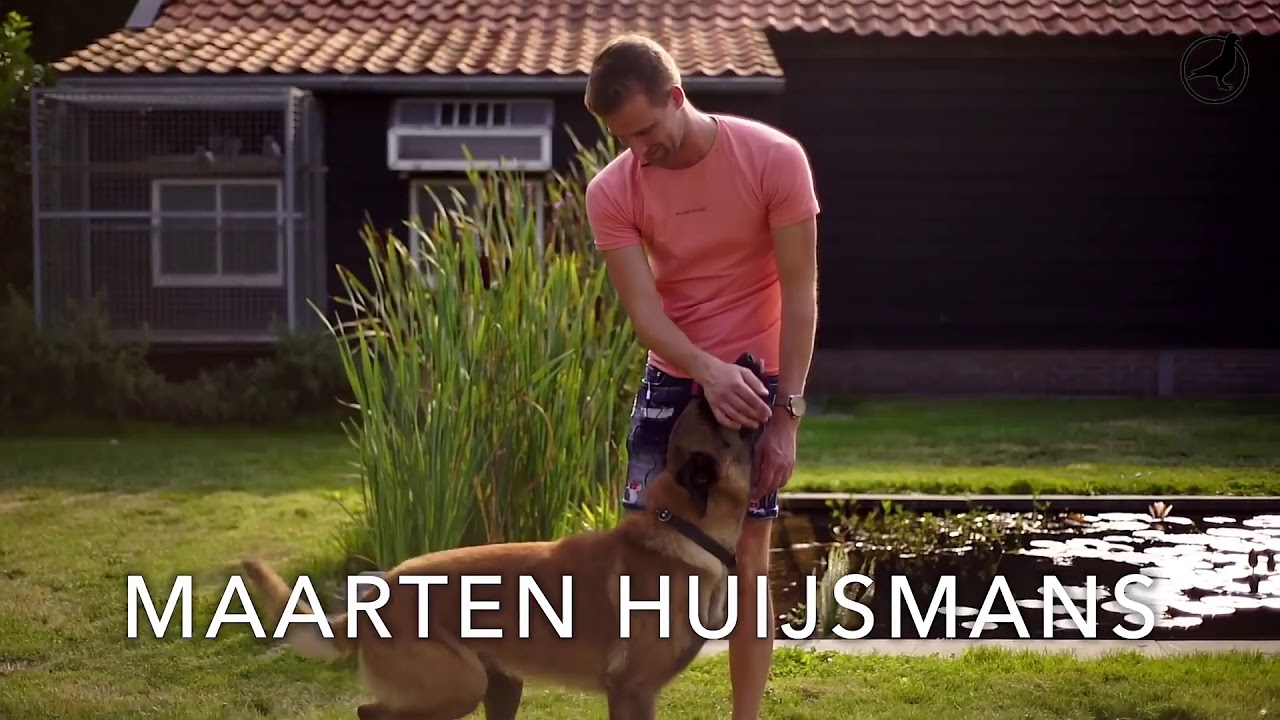 Maarten Huijsmans is one of the many talented young fanciers in The Netherlands. With just 5 breedin
