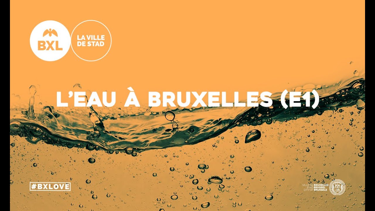 L'eau à Bruxelles (épisode 1) - Behind the Senne