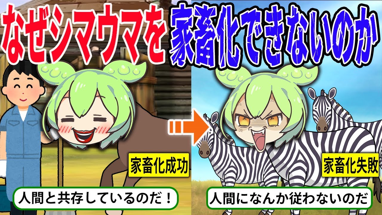 なぜ人類はシマウマを家畜化できなかったのか【ずんだもん＆ゆっくり解説】