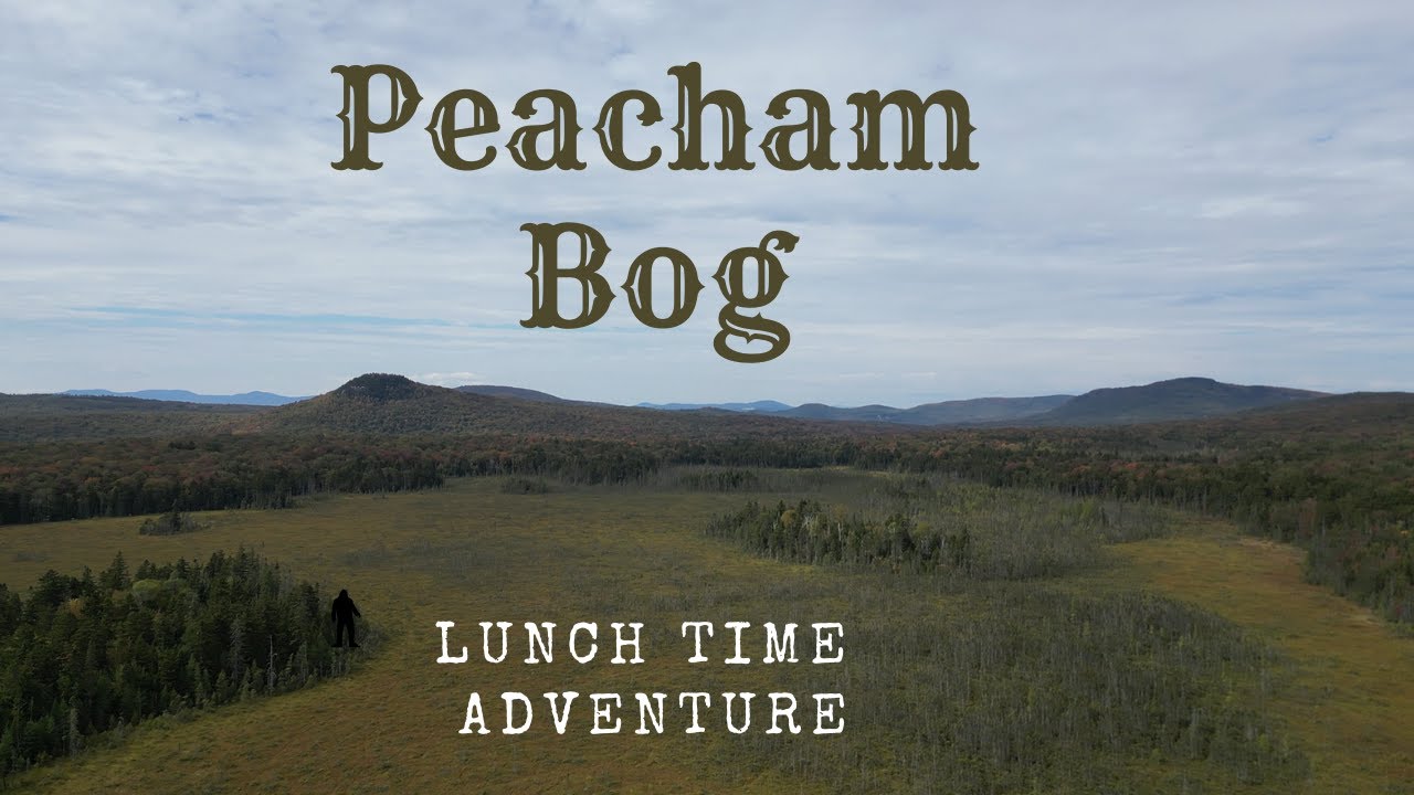 Lunch time adventure at Peacham bog, Groton Vermont.