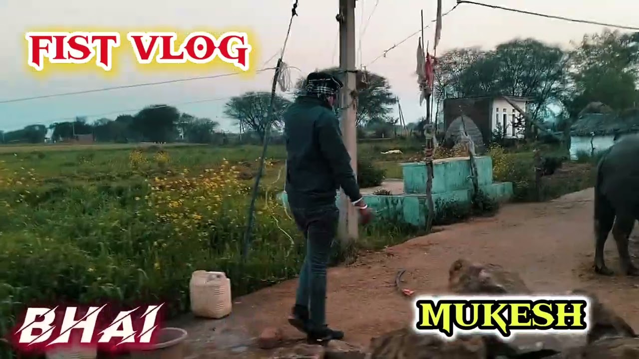Vlog #fistfighthacker Blog #fist video by lalla banjara