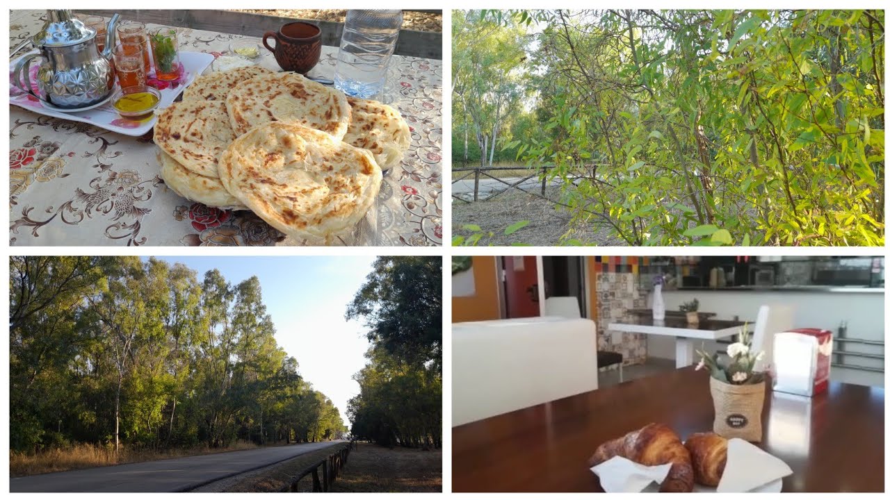 خرجة إلى الطبيعة الساحرة مناضرها