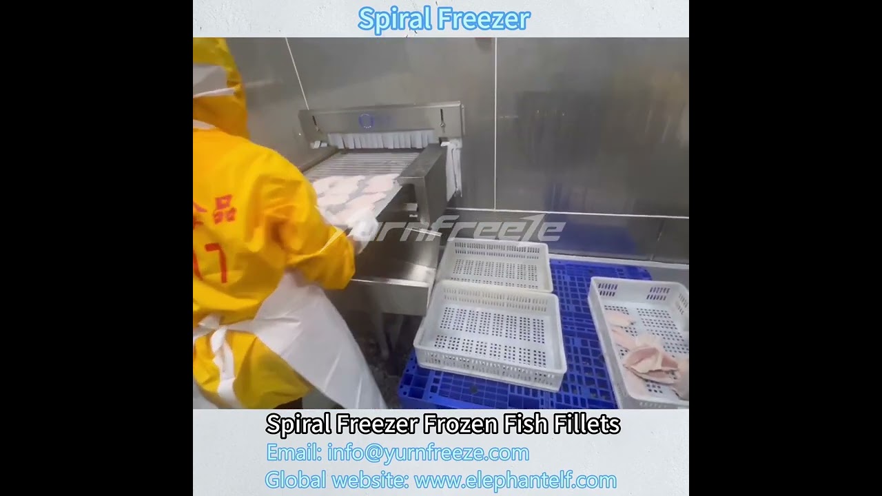 IQF Spiral Freezer Freezing Fish Fillets