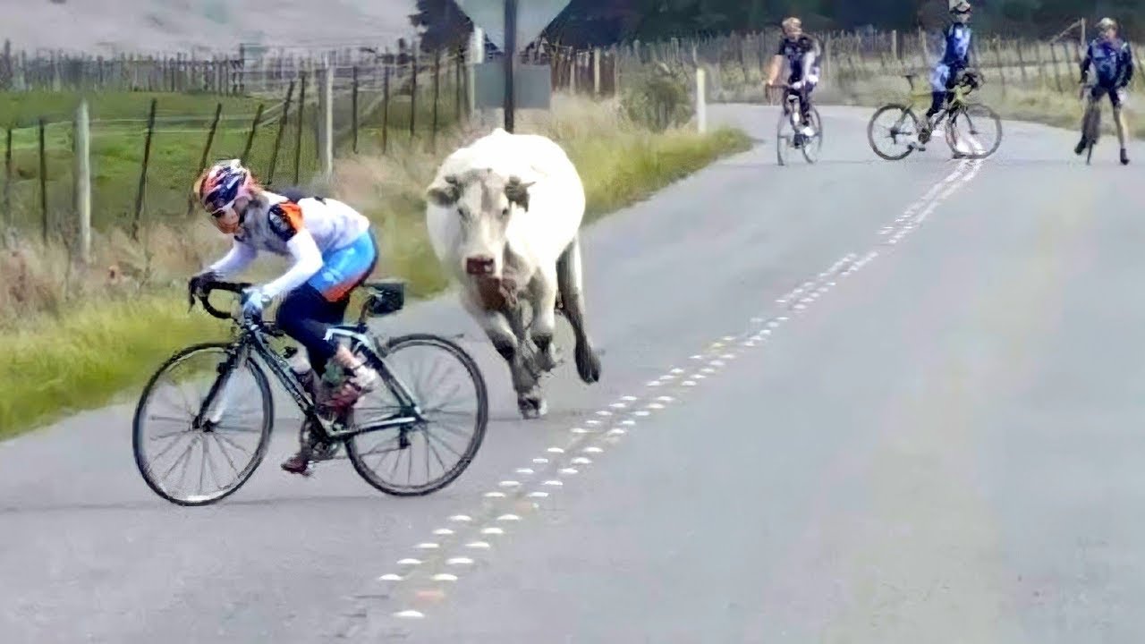 Prova a non ridere 😆 Video divertenti Compilation 2022 - Persone che fanno cose divertenti #17