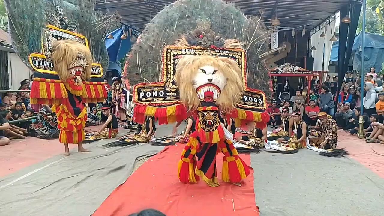 Roro Dewi Songgo Langit,NEW KRIDO BUWONO,Live Festifal Sumur Wali,Grogol,Salatiga.