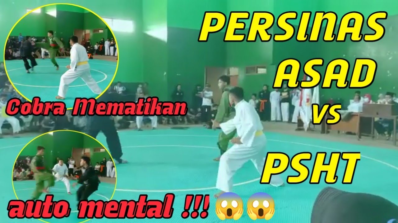 Tendangan Mematikan Pencak Silat !!!  - PERSINAS ASAD vs PSHT