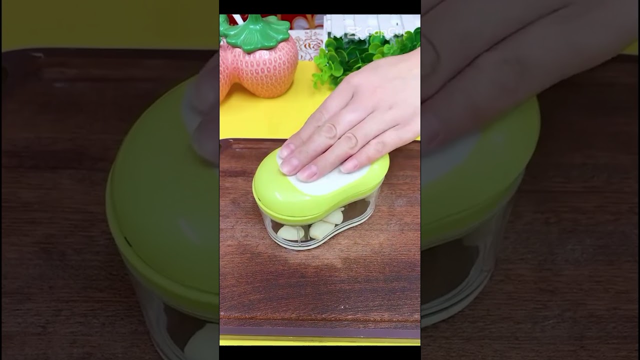 Mini Garlic Chopper 