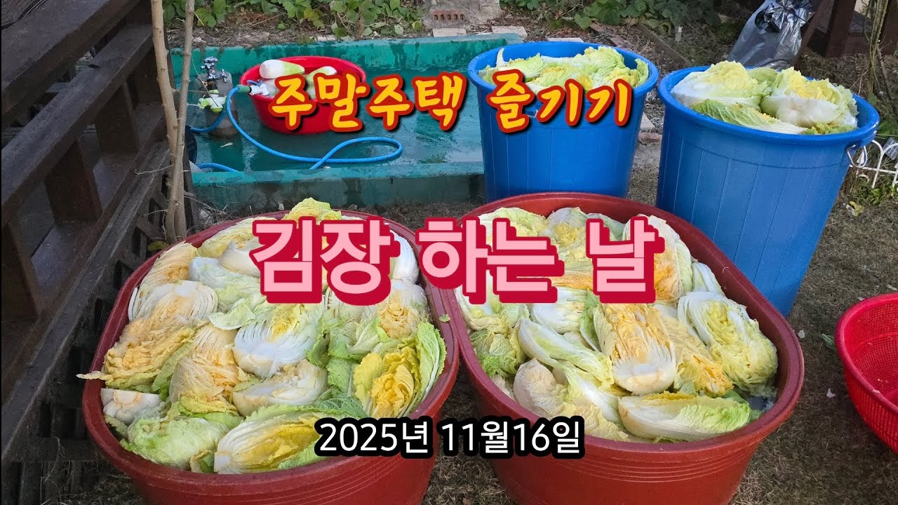 김장 핑계로 이틀간 술마시고 방전된 날.
