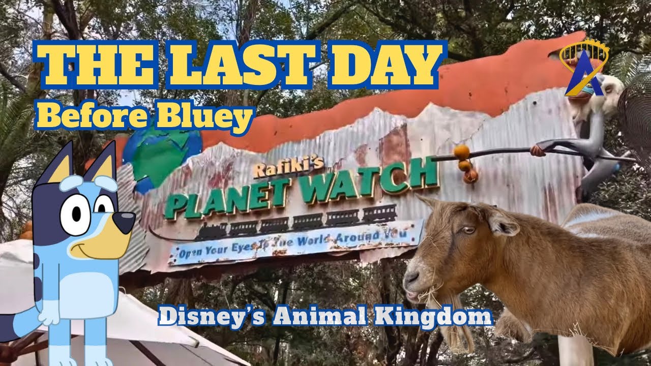 Conservation Station, Last Day of Operation before Bluey at Disney's Animal Kingdom - Highlights
