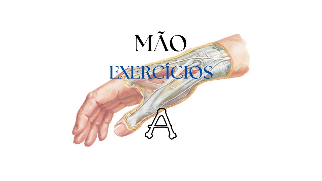 MÃO - Anatomia (Exercícios)