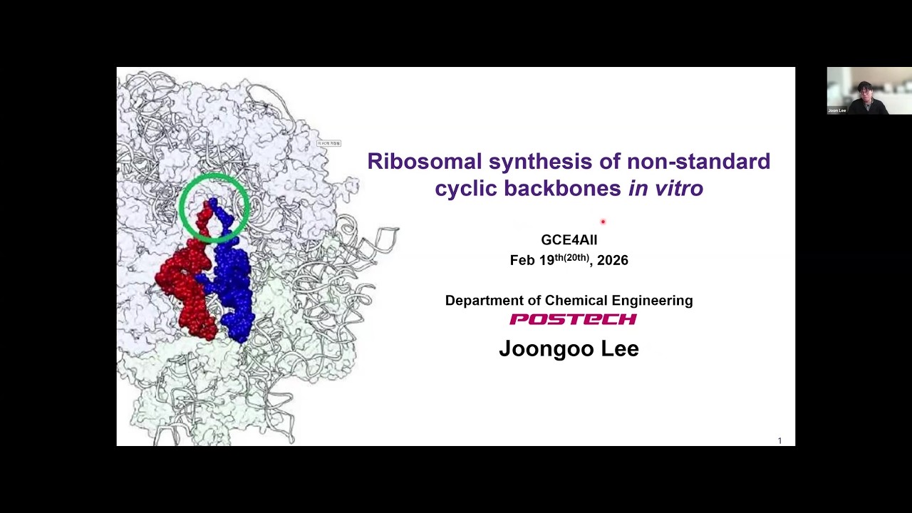 Ribosomal synthesis of non-standard cyclic backbones in vitro