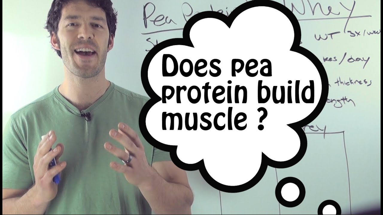 Whey Protein VS Pea Protein: do they compare?