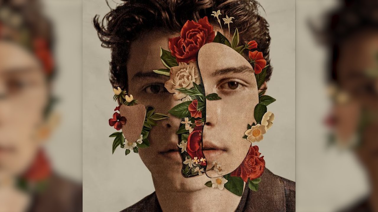 Shawn Mendes - In My Blood (Acapella)