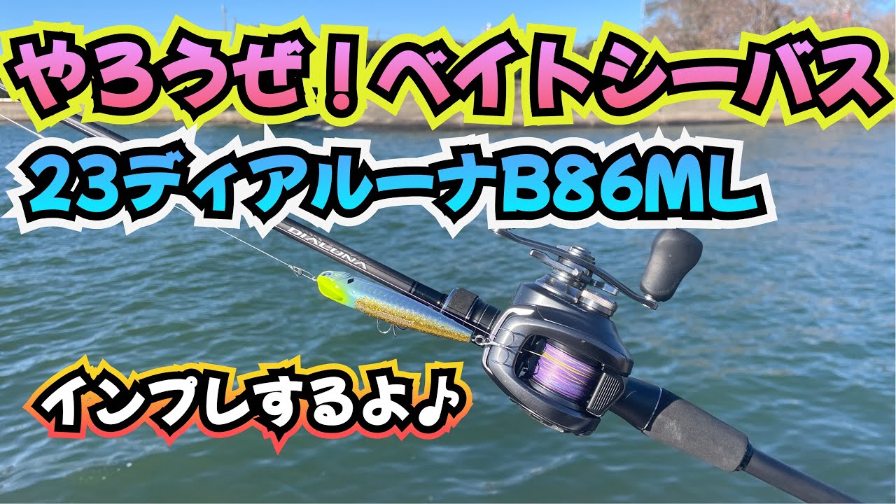 ベイトシーバスやろうぜ！ディアルーナB86ML+22バンタムXGをインプレするよ♪