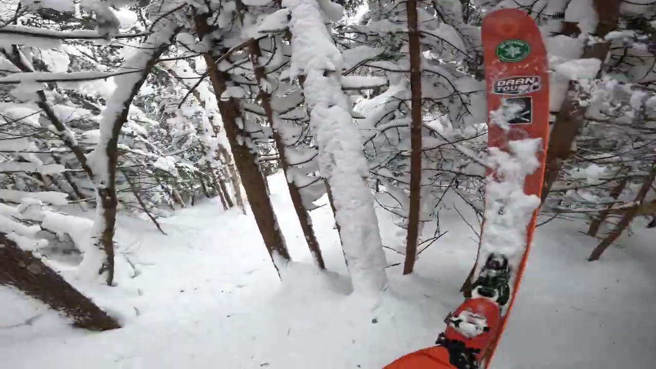 Exploring - Chute to Chute Woods Variant 2 - Mad River Glen (2026)