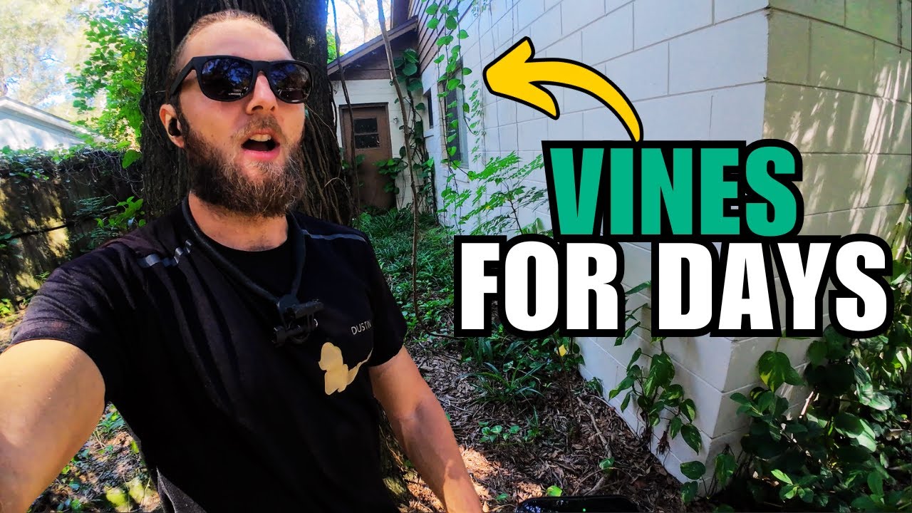 I was NOT Expecting this Property to be COVERED in VINES...