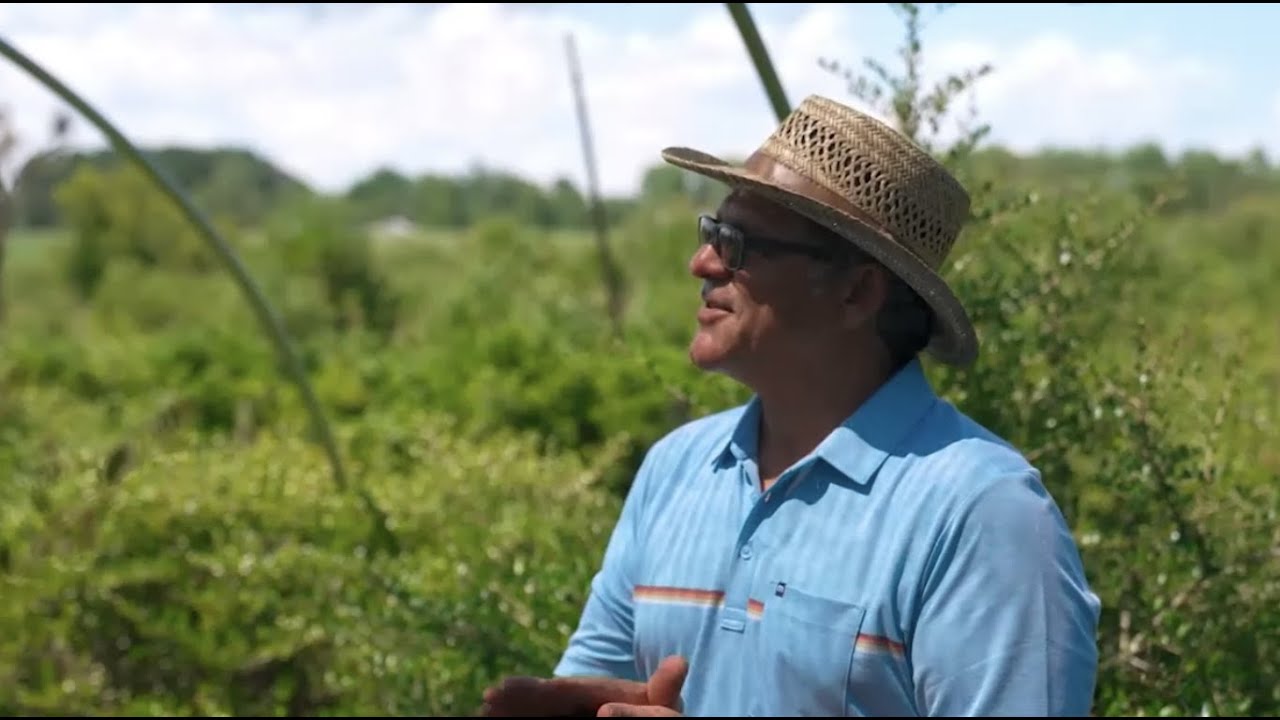 Yaupon Teahouse + Apothecary on PBS's Start Up