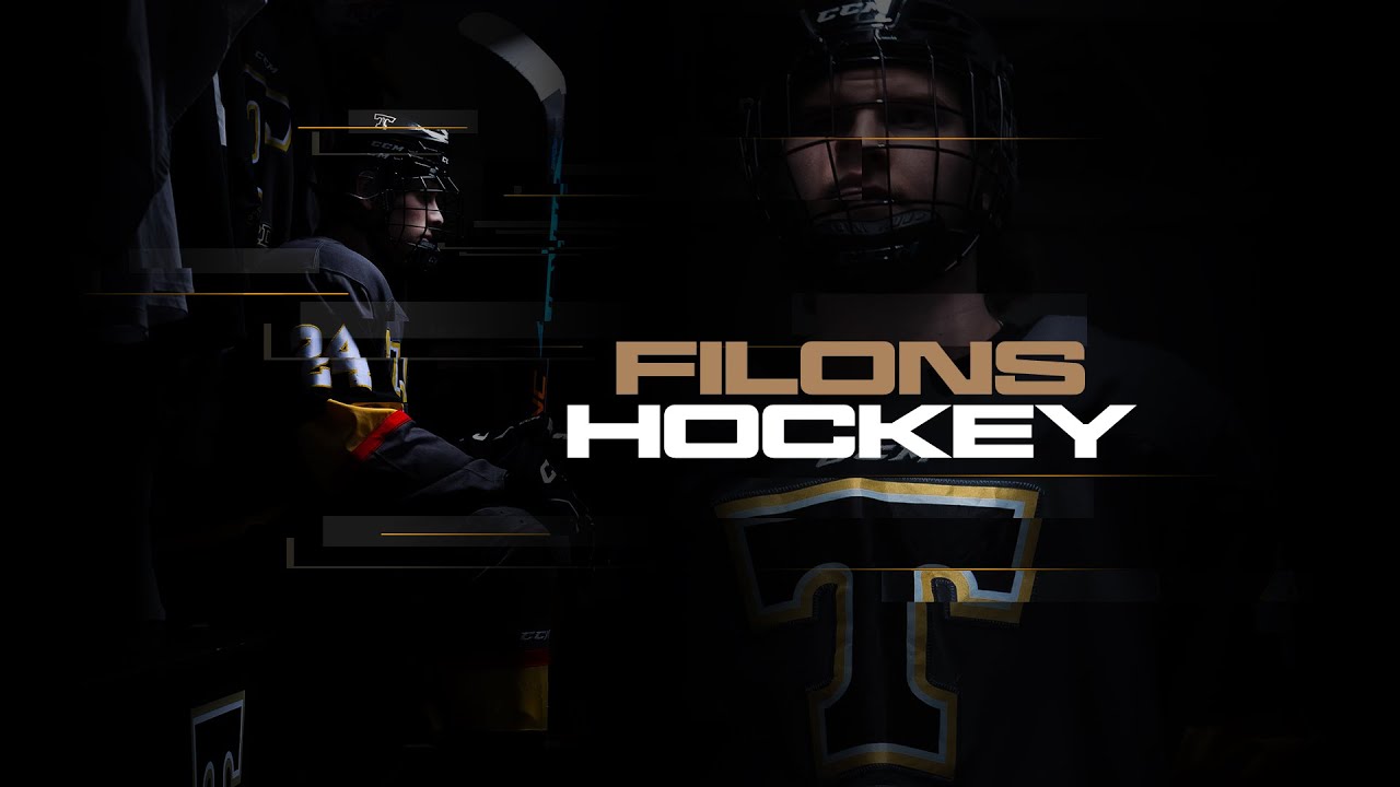 Filons en direct - Hockey Masculin D2 🏒 Laflèche @ Thetford [2025-11-02]