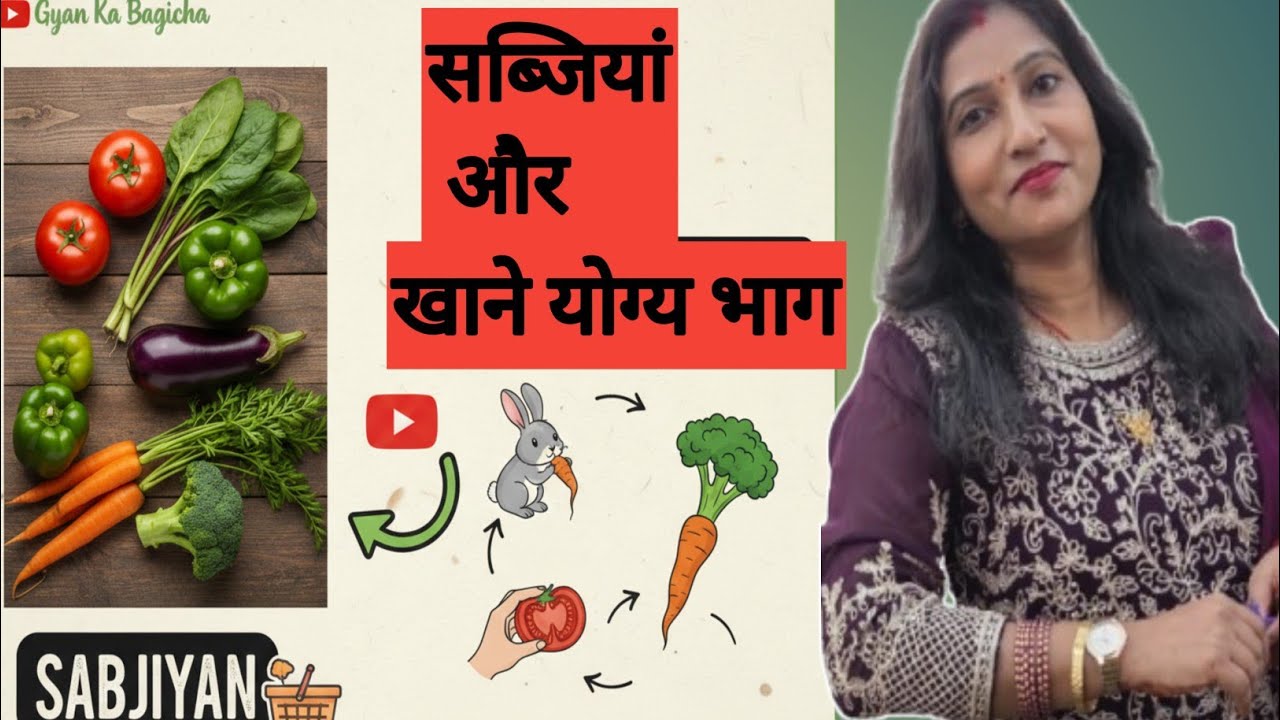 सब्जियां और उनके खाने योग्य भाग | Root, Stem, Leaf, Fruit & Seed |  Science#Sabziyan #fruits Parts 
