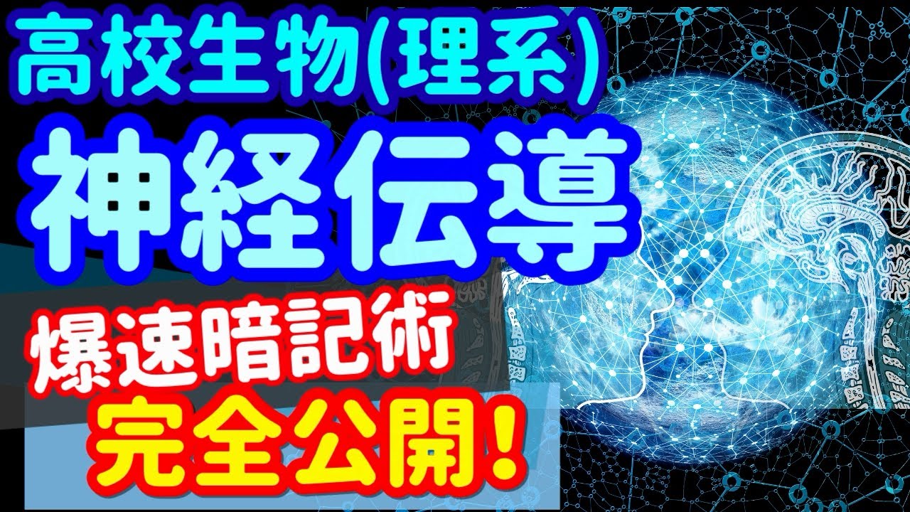 【高校生物 45】神経【神経の伝導】を宇宙一わかりやすく