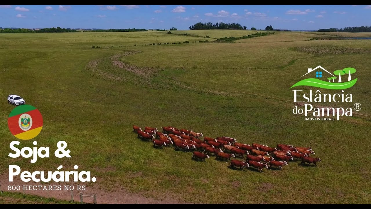 Fazenda a Venda no RS com 800 ha