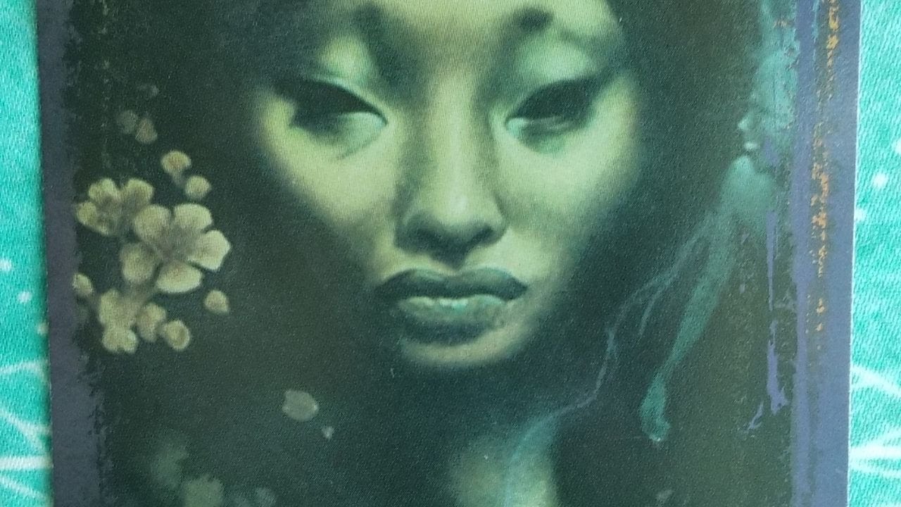 Karmic/3rd Party reading- The Lady of the Night is watching you DF! Ext. It's a trap DM!