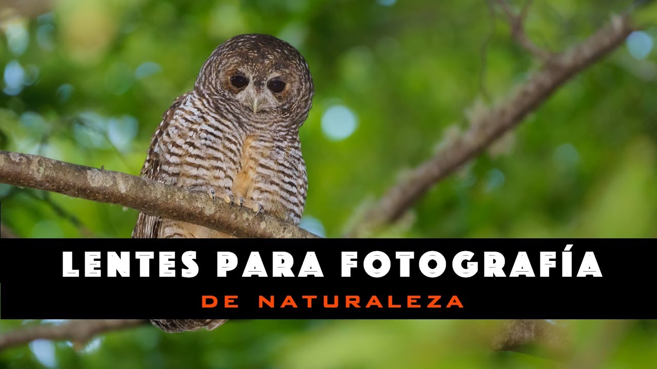 Capítulo 16. Lentes para fotografía de Naturaleza