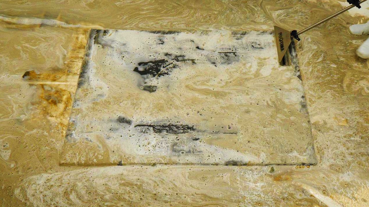 From Dumped To Designer! Bringing This Classic Back To Life! Satisfying ASMR Carpet Cleaning.