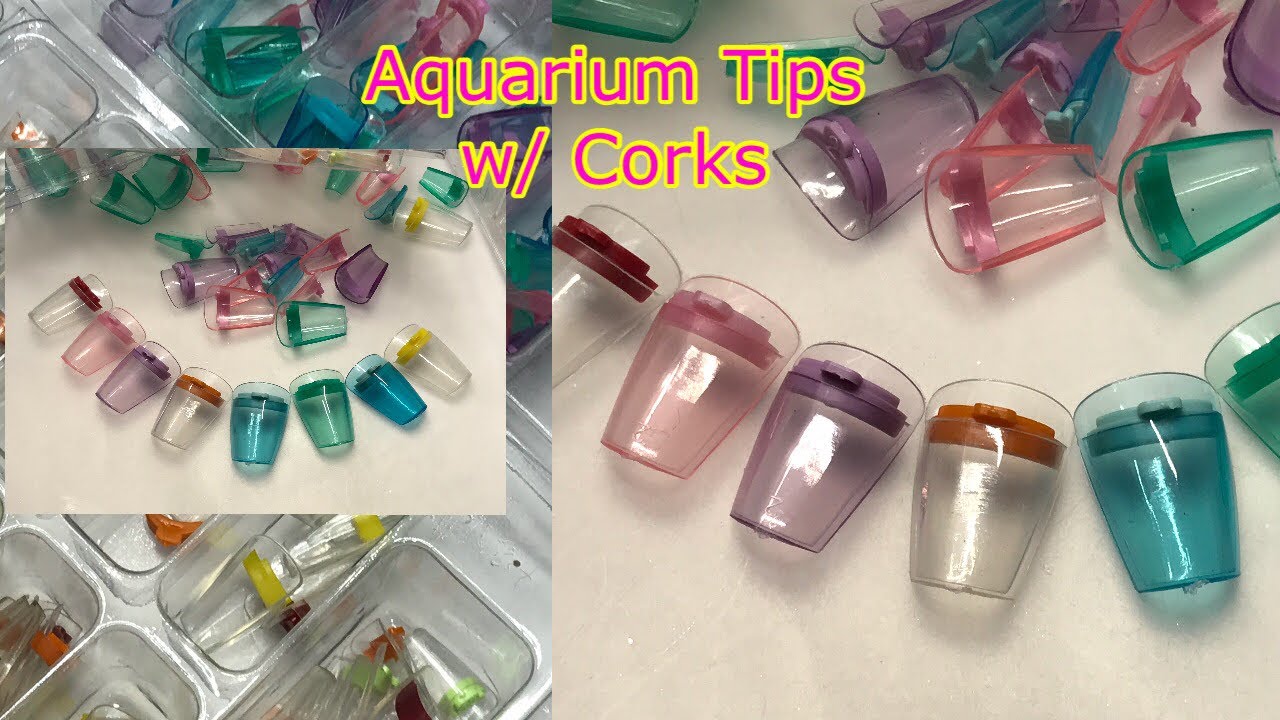 Pre Made Aquarium Nail tips W/ a Cork Inside  / Anyone Can Make Aquarium Nails W/ These Tips !
