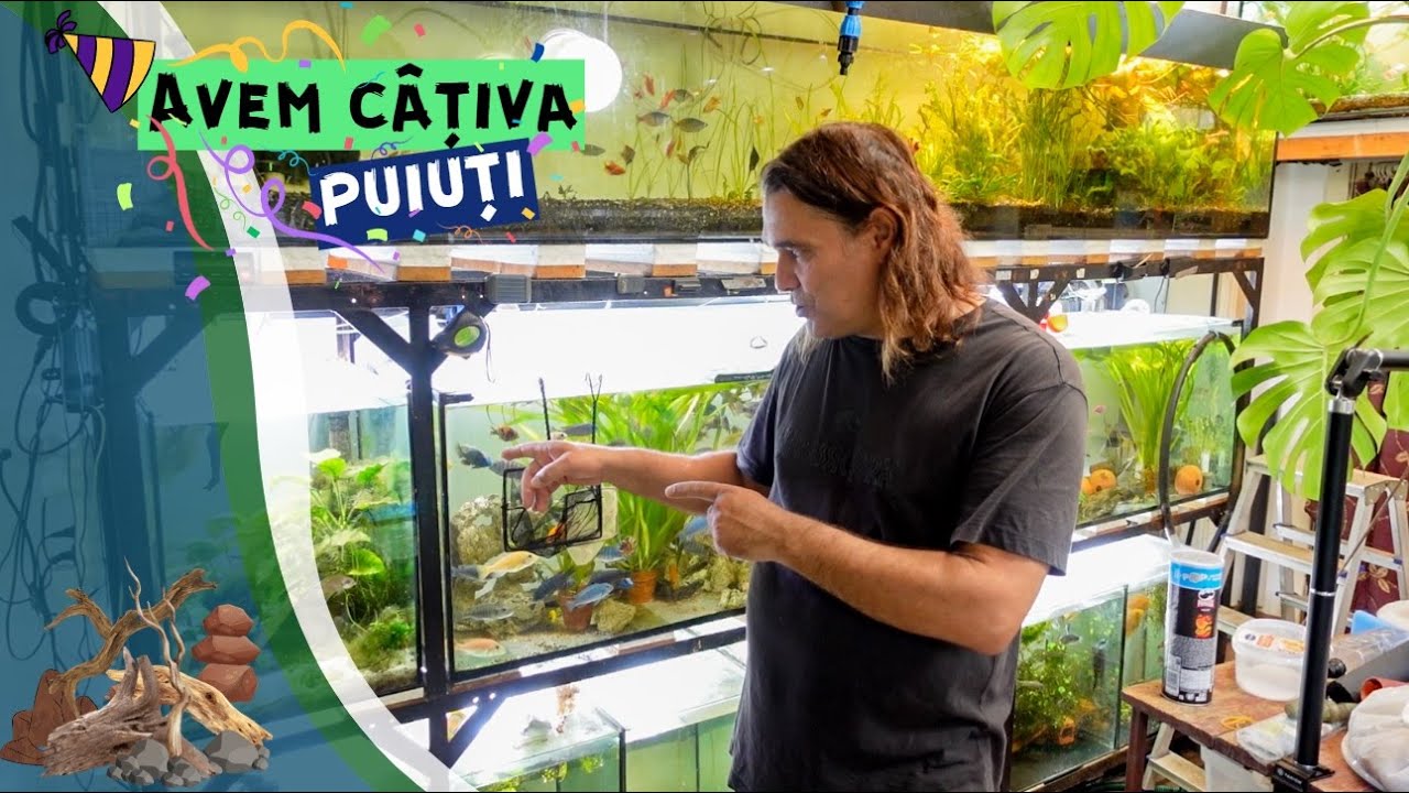 Vlog #28 | Pregatiri de reproducere si pui noi in casa