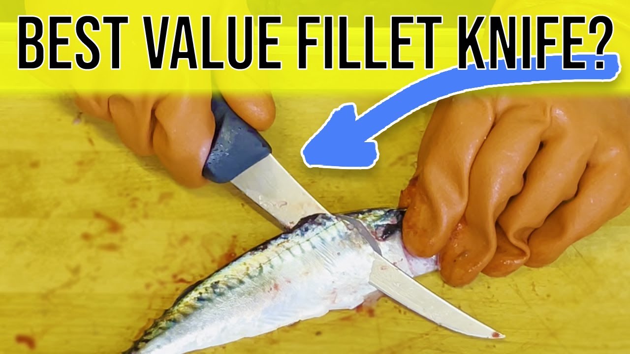Victorinox Fibrox Pro Fillet Knife - Is it any good?