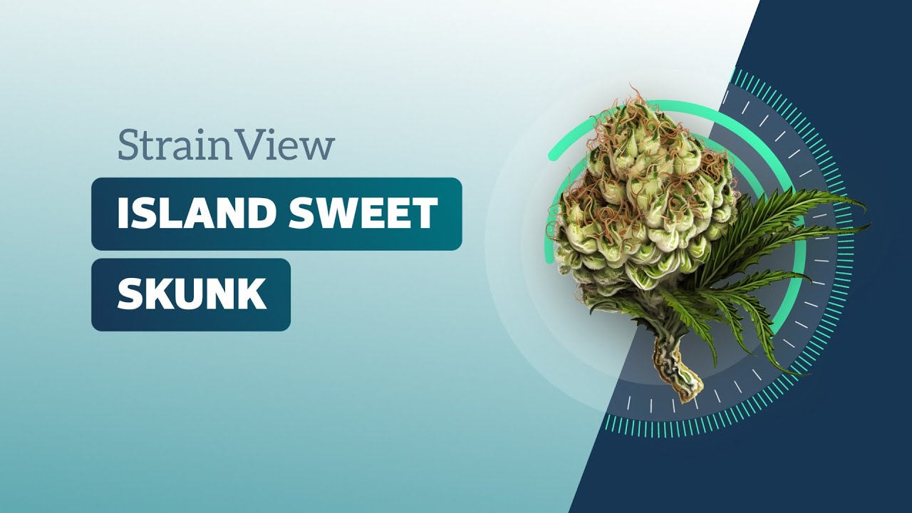 Island Sweet Skunk - Strainview
