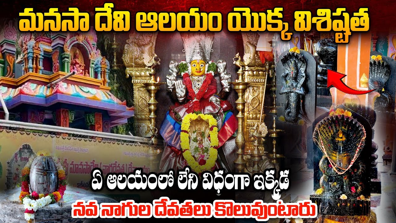 నవ నాగుల మండపం కొలువై ఉన్నఏకైక ఆలయం || Most Powerful Manasa Devi Temple History ||  Secunderabad
