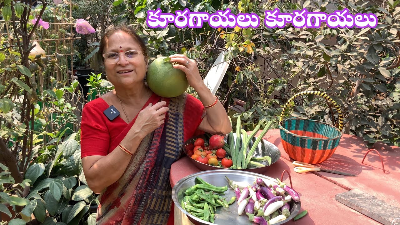 కబుర్లు చెప్పుకుంటూ కాఫీ మొక్కను చూస్తూ పంపర పనసకాయ కూరగాయలు కోసుకుందామా