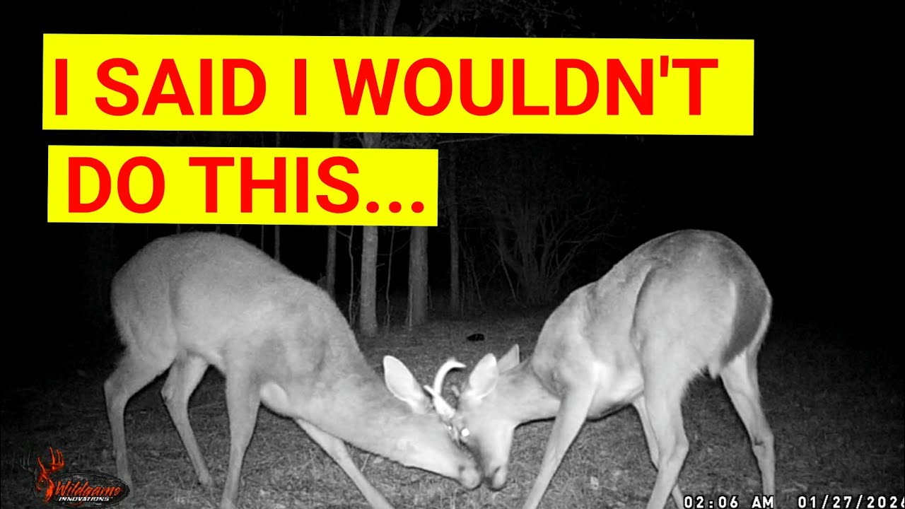 I Went Back (Trail Cam Video)