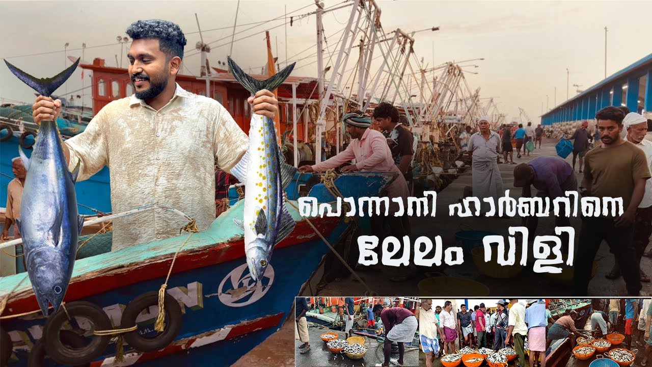 പൊന്നാനി ഹാർബറിനെ ലേലം വിളി ponnani harbour