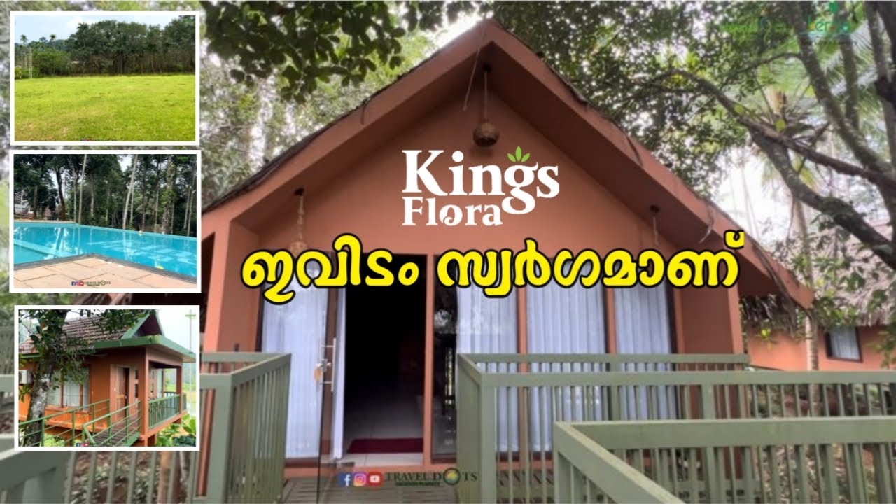ഇവിടം സ്വർഗമാണ് 🥰 വയനാട്ടിലെ ഏറ്റവും വലിയ Farm റിസോർട്ടിൽ താമസിക്കാം Kings Flora Organic Farm Resort