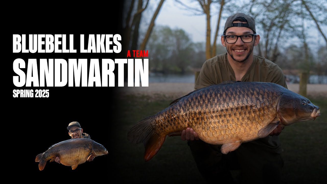 Bluebell lakes I SANDMARTIN CATCHING A TEAMS SPRING 2025