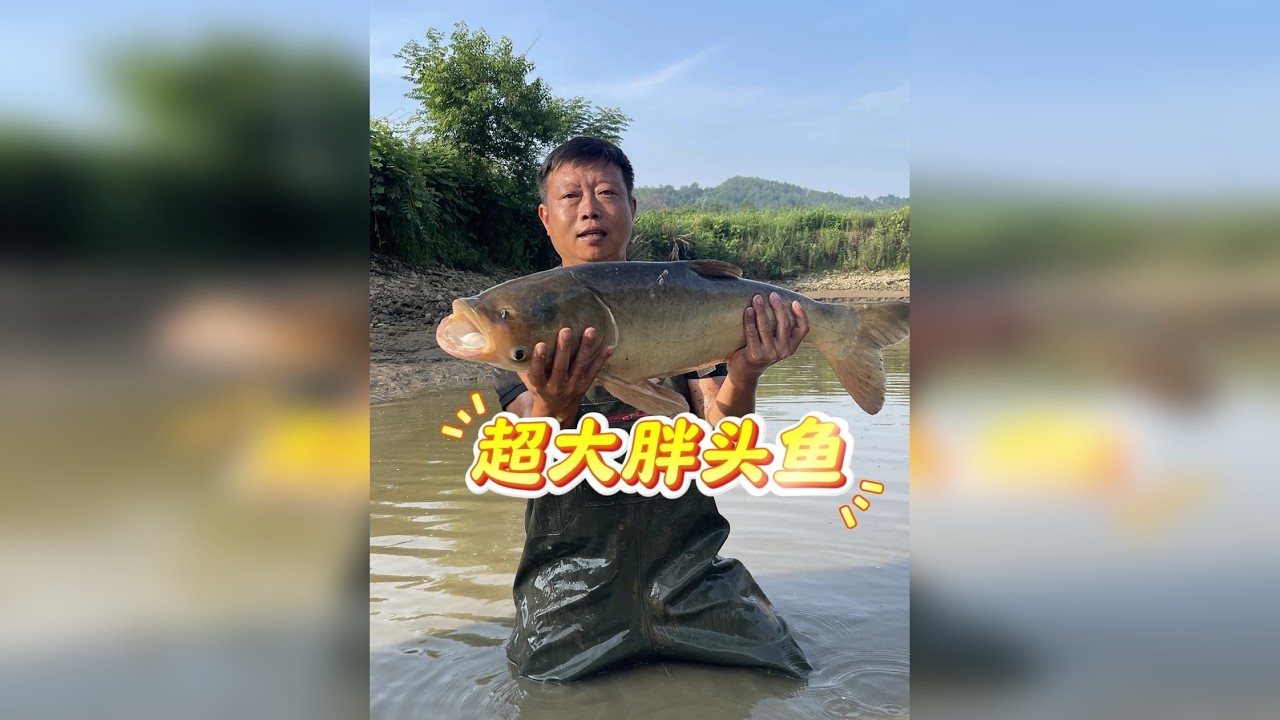 花4000元包下大叔家7年未干的巨物鱼塘，看看里面的鱼有多大