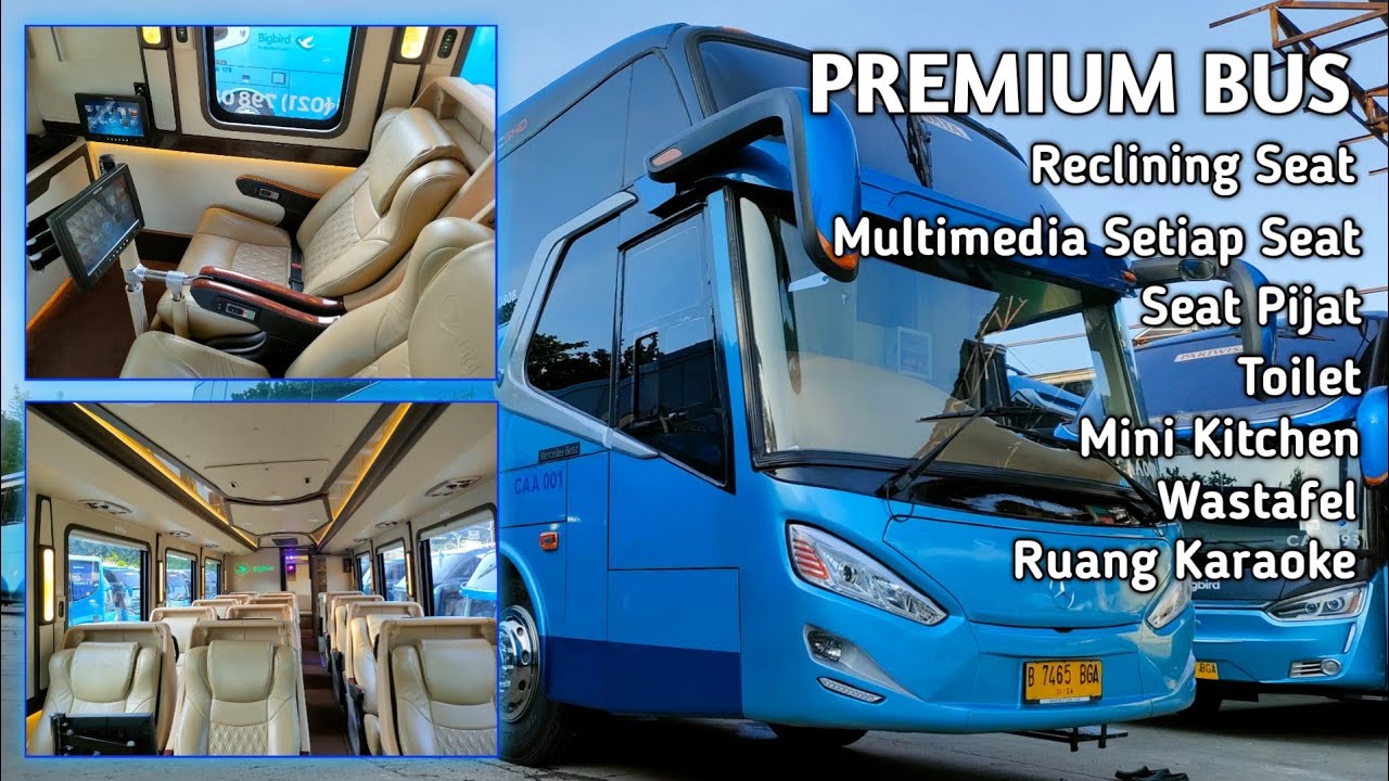 Big Bird Premium Bus || Big Bus Premium || Luxury Bus