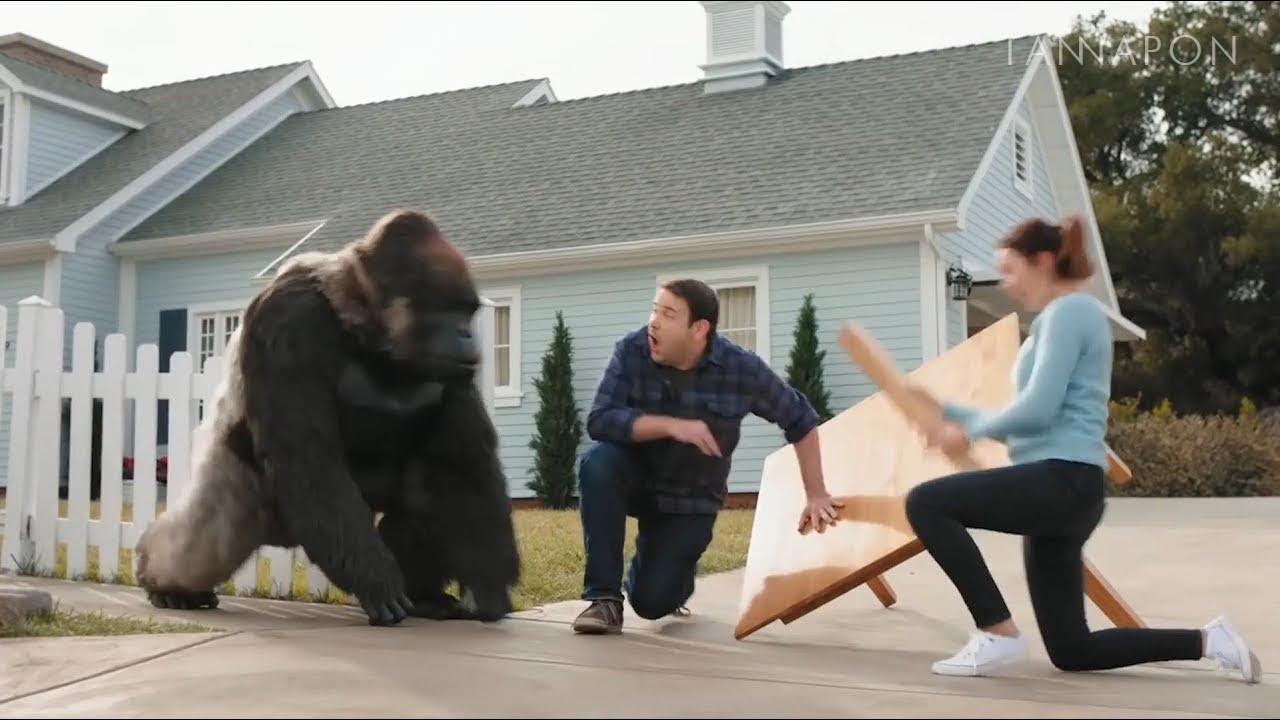 (New) All gorilla glue ads but perfectly cut screams