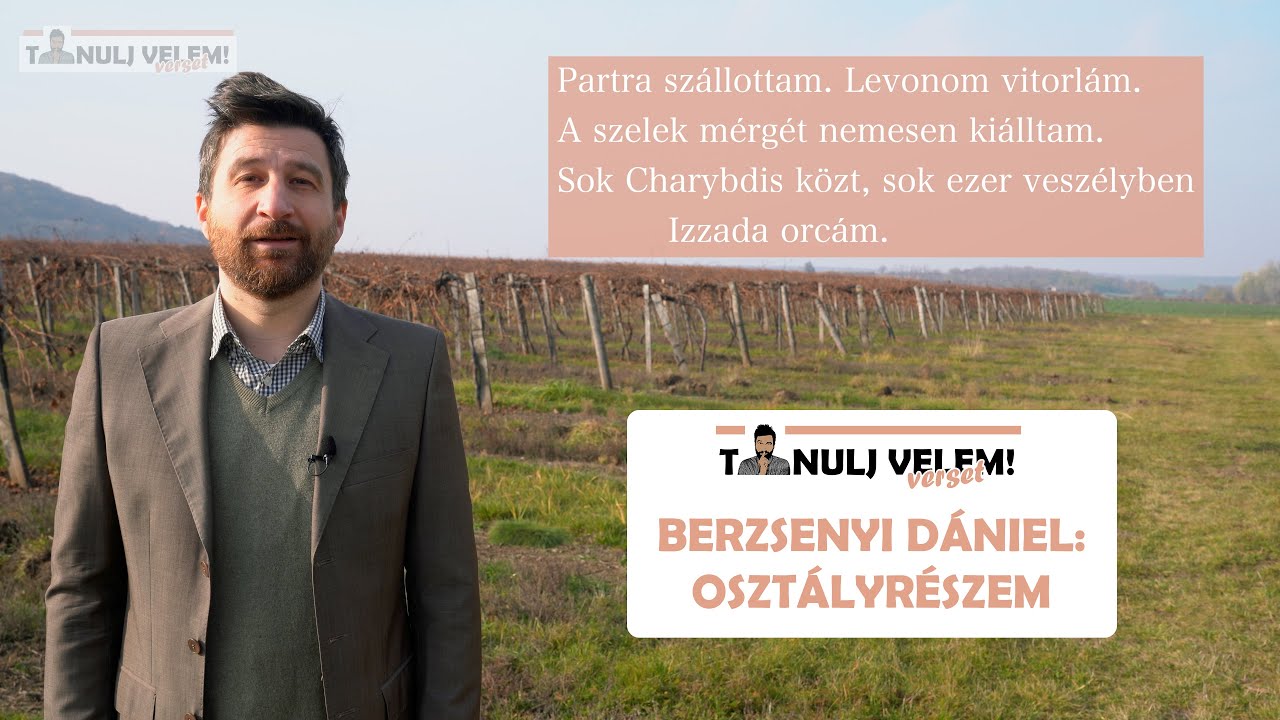 Berzsenyi Dániel - Osztályrészem