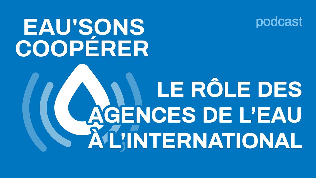 Eau’sons coopérer : le rôle des Agences de l’eau à l’international